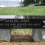 Bench_-_Debs.jpg