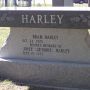 Bench_-_Harley.jpg